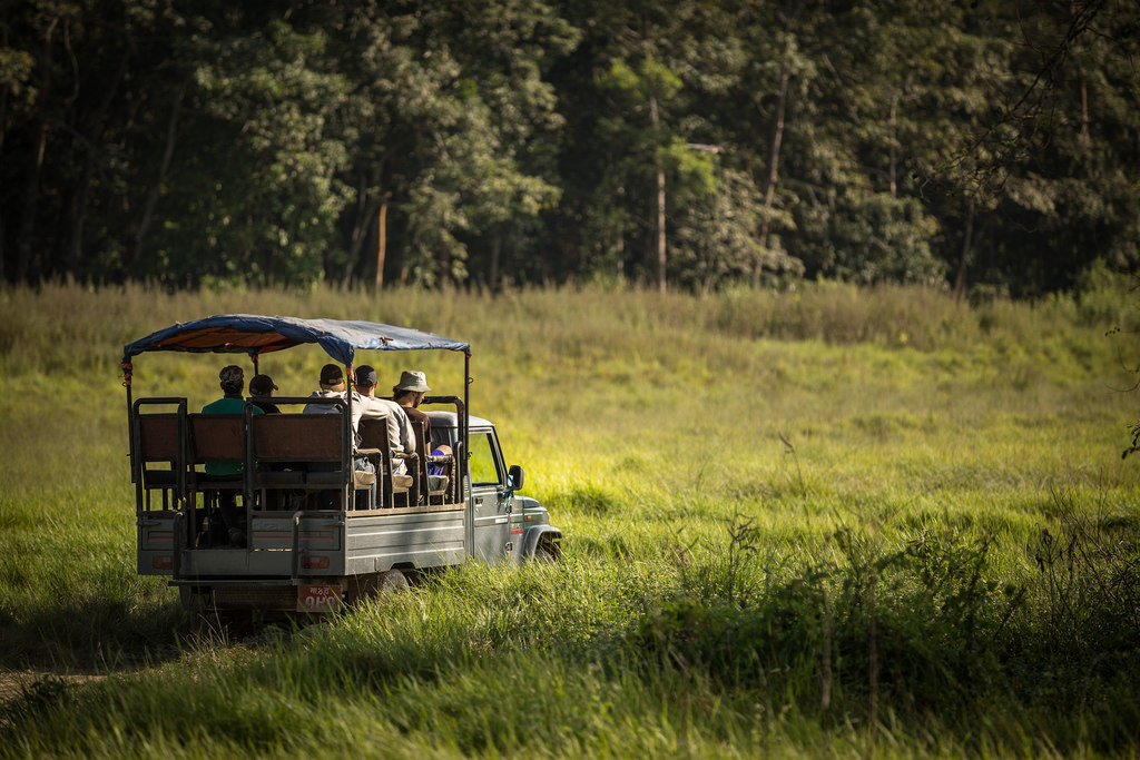 Jeep safari in Chitwan